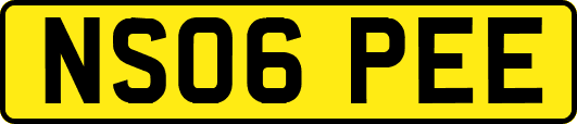 NS06PEE