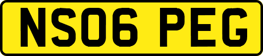 NS06PEG