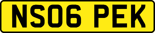 NS06PEK