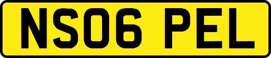 NS06PEL