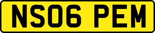 NS06PEM