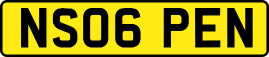 NS06PEN