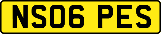 NS06PES