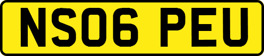 NS06PEU