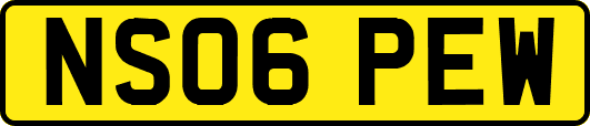 NS06PEW