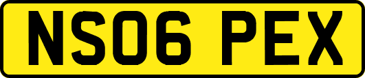 NS06PEX