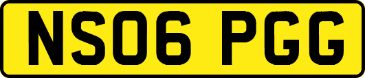 NS06PGG