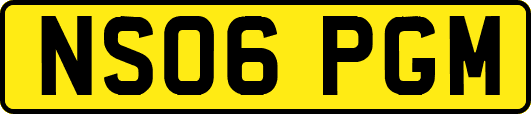 NS06PGM