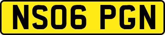 NS06PGN