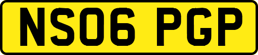 NS06PGP