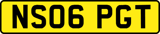 NS06PGT