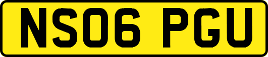 NS06PGU