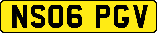 NS06PGV