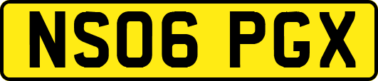 NS06PGX
