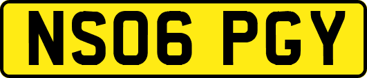 NS06PGY