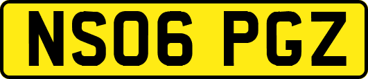 NS06PGZ