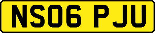 NS06PJU