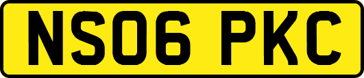 NS06PKC