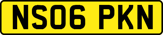 NS06PKN
