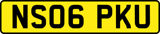 NS06PKU