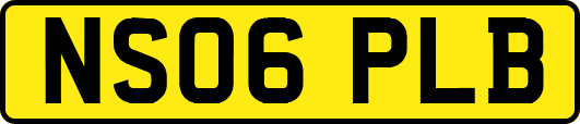 NS06PLB
