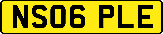NS06PLE