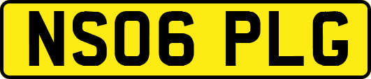 NS06PLG