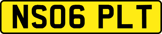 NS06PLT