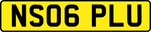 NS06PLU
