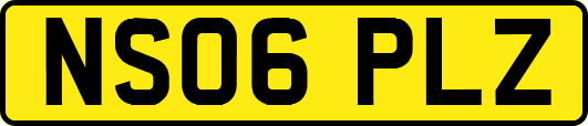 NS06PLZ