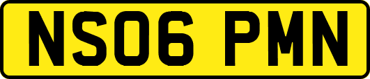 NS06PMN