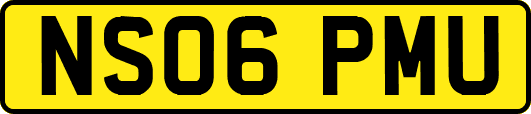 NS06PMU