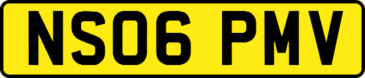 NS06PMV