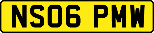NS06PMW