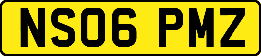 NS06PMZ