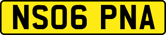 NS06PNA