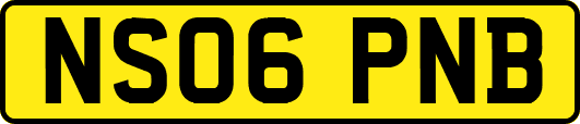 NS06PNB