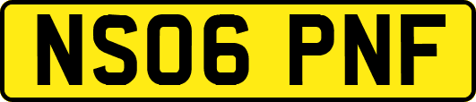 NS06PNF