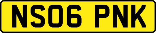 NS06PNK
