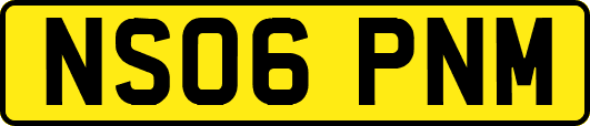 NS06PNM