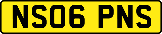 NS06PNS