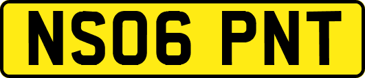 NS06PNT