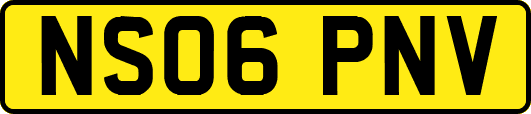 NS06PNV