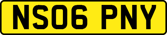 NS06PNY