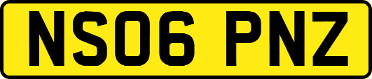 NS06PNZ
