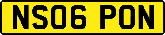 NS06PON