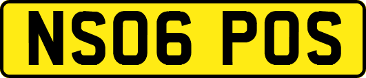 NS06POS