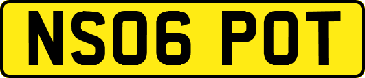 NS06POT