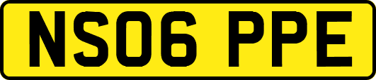 NS06PPE