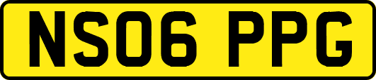NS06PPG